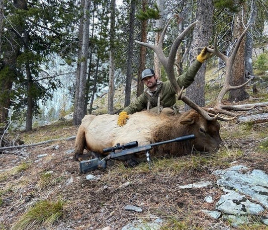 Elk Success