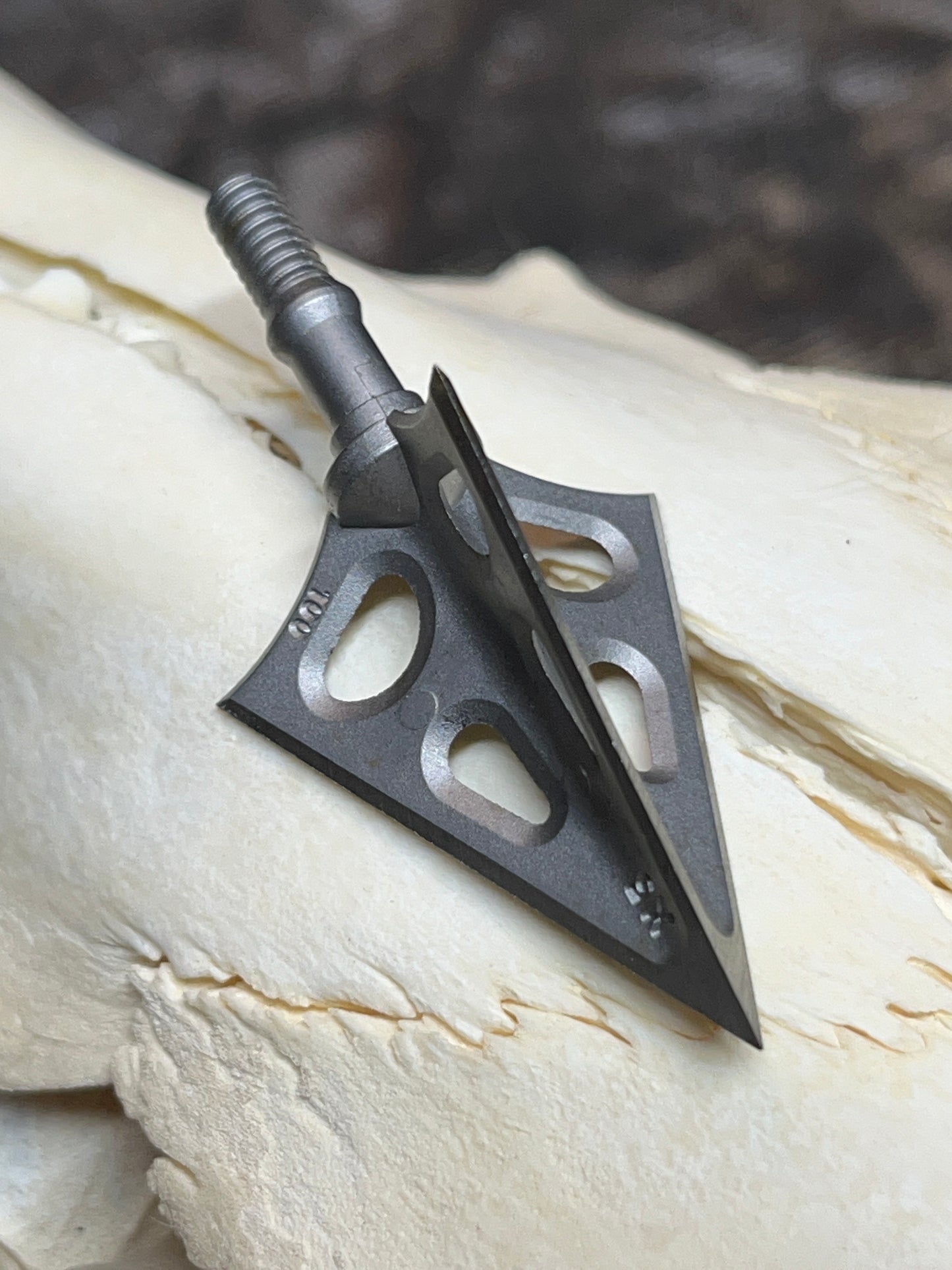 The Bully Broadhead